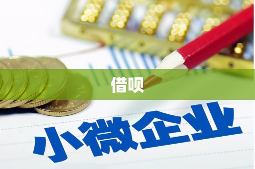 岳塘借呗