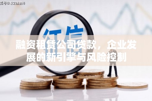 岳塘融资租赁公司贷款，企业发展的新引擎与风险控制