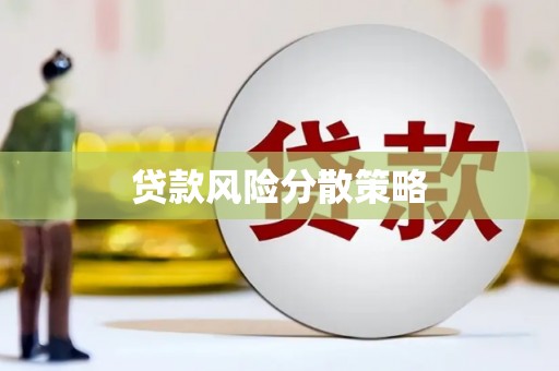岳塘贷款风险分散策略