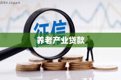 岳塘养老产业贷款