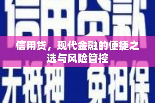 岳塘信用贷，现代金融的便捷之选与风险管控