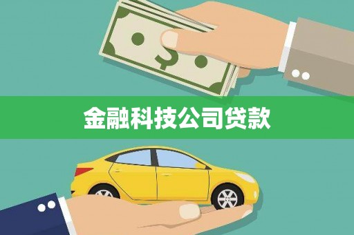 岳塘金融科技公司贷款
