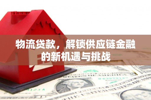 岳塘物流贷款，解锁供应链金融的新机遇与挑战