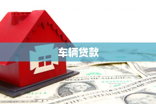 岳塘车辆贷款