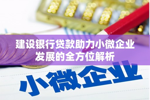岳塘建设银行贷款助力小微企业发展的全方位解析