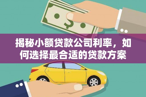 岳塘揭秘小额贷款公司利率，如何选择最合适的贷款方案