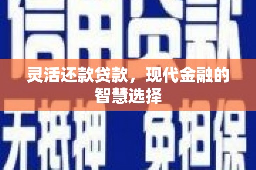 岳塘灵活还款贷款，现代金融的智慧选择