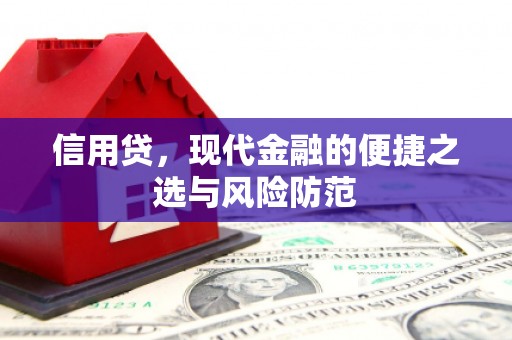 岳塘信用贷，现代金融的便捷之选与风险防范