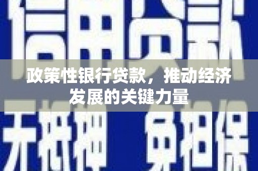岳塘政策性银行贷款，推动经济发展的关键力量