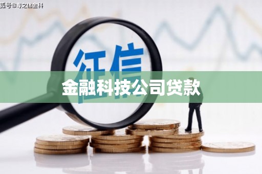 岳塘金融科技公司贷款