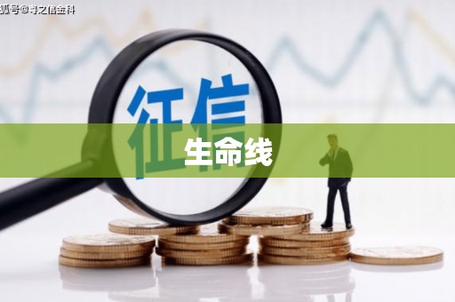 岳塘生命线