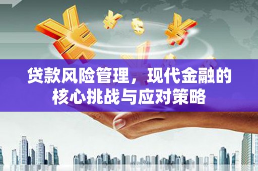 岳塘贷款风险管理，现代金融的核心挑战与应对策略