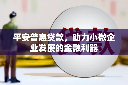岳塘平安普惠贷款，助力小微企业发展的金融利器