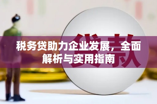 岳塘税务贷助力企业发展，全面解析与实用指南