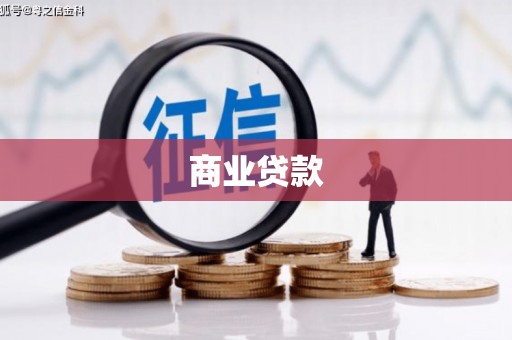 岳塘商业贷款