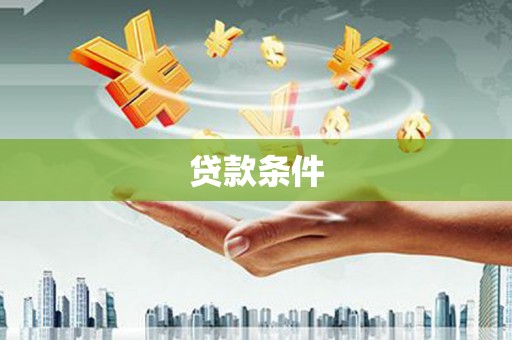 岳塘贷款条件