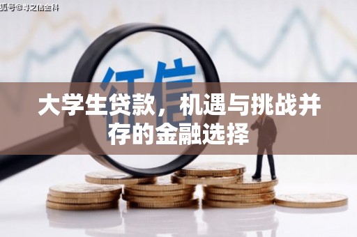 岳塘大学生贷款，机遇与挑战并存的金融选择