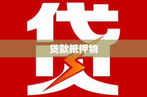 岳塘贷款抵押物
