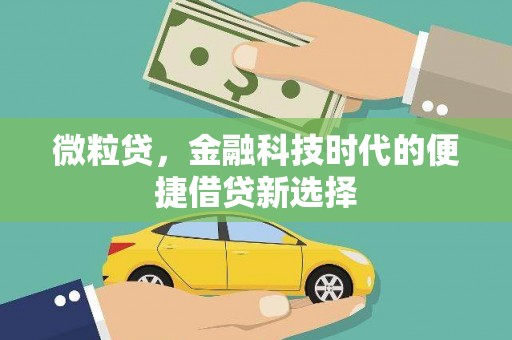 岳塘微粒贷，金融科技时代的便捷借贷新选择