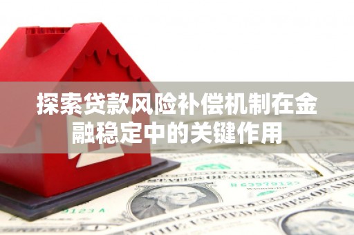岳塘探索贷款风险补偿机制在金融稳定中的关键作用