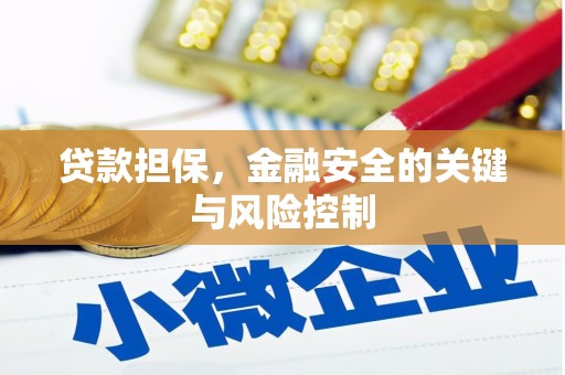 岳塘贷款担保，金融安全的关键与风险控制
