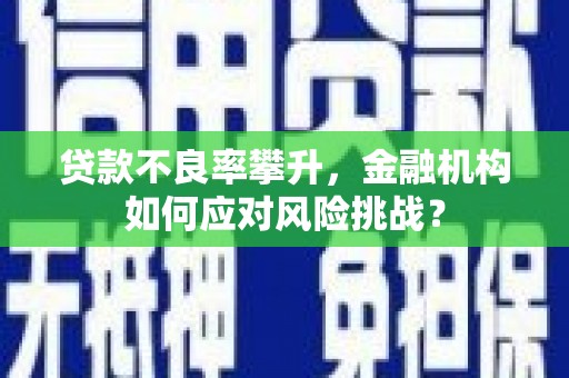岳塘贷款不良率攀升，金融机构如何应对风险挑战？