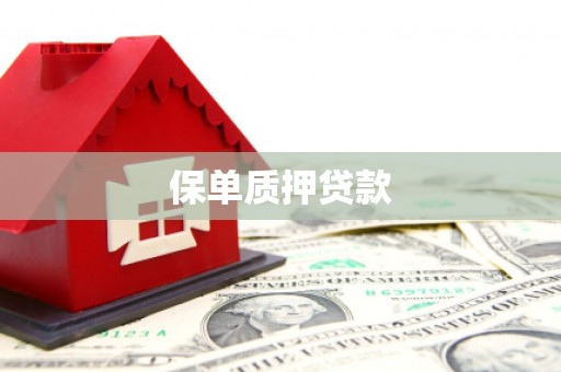 岳塘保单质押贷款