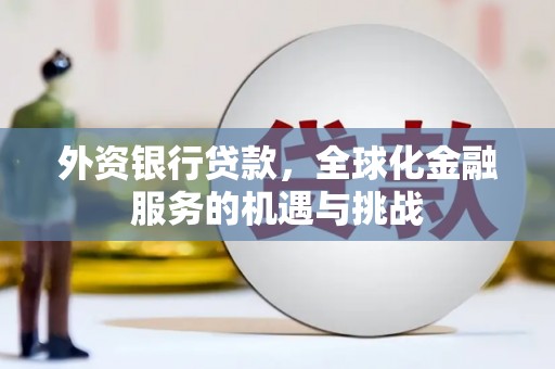 岳塘外资银行贷款，全球化金融服务的机遇与挑战