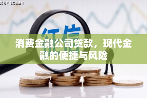 岳塘消费金融公司贷款，现代金融的便捷与风险