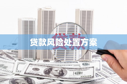 岳塘贷款风险处置方案