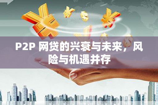 岳塘P2P 网贷的兴衰与未来，风险与机遇并存