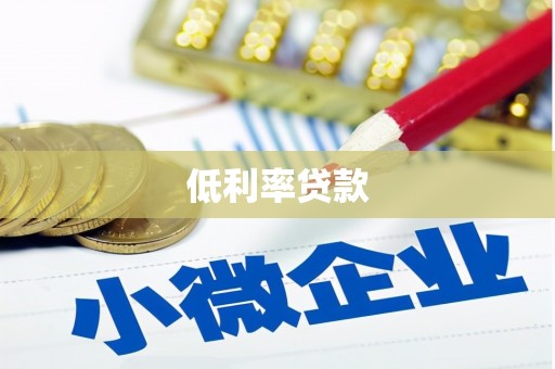 岳塘低利率贷款