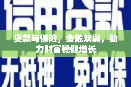 岳塘贷款与保险，金融双翼，助力财富稳健增长