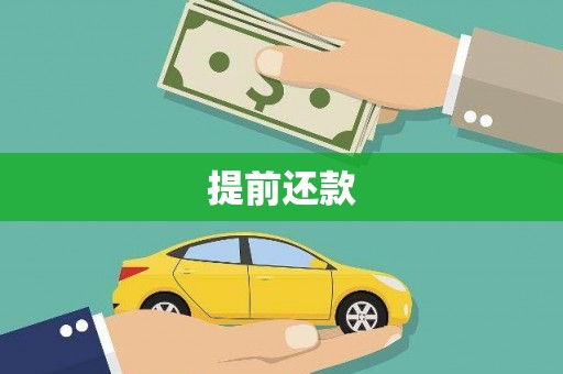 岳塘提前还款