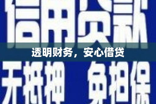 岳塘透明财务，安心借贷