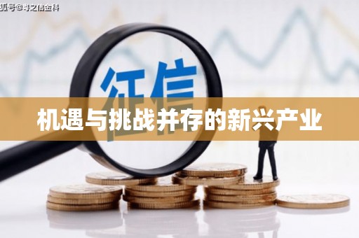 岳塘机遇与挑战并存的新兴产业