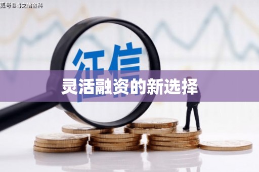 岳塘灵活融资的新选择