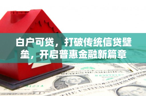 岳塘白户可贷，打破传统信贷壁垒，开启普惠金融新篇章