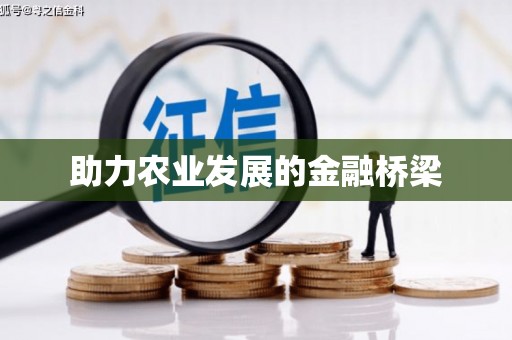 岳塘助力农业发展的金融桥梁