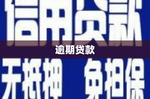 岳塘逾期贷款