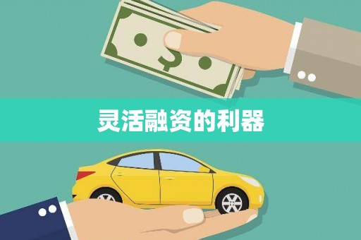 岳塘灵活融资的利器