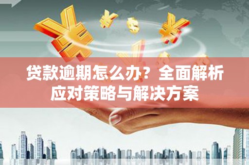 岳塘贷款逾期怎么办？全面解析应对策略与解决方案