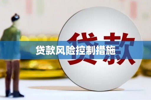 岳塘贷款风险控制措施