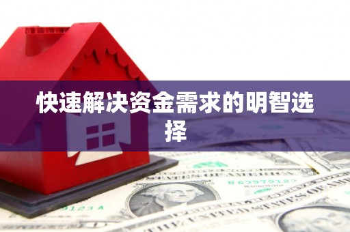 岳塘快速解决资金需求的明智选择