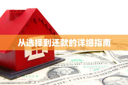 岳塘从选择到还款的详细指南