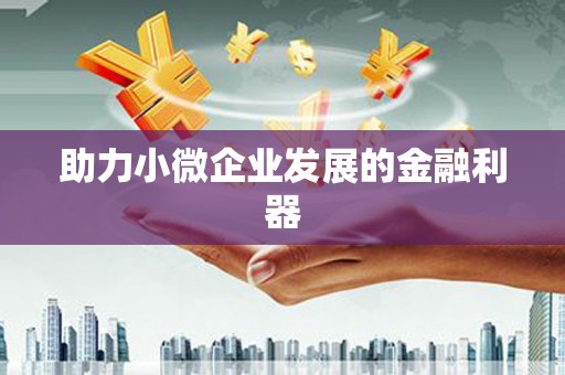 岳塘助力小微企业发展的金融利器