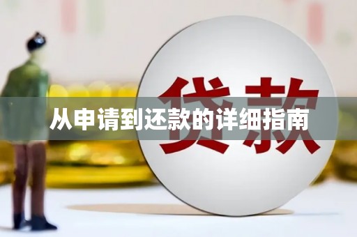 岳塘从申请到还款的详细指南