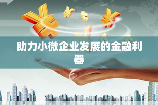 岳塘助力小微企业发展的金融利器