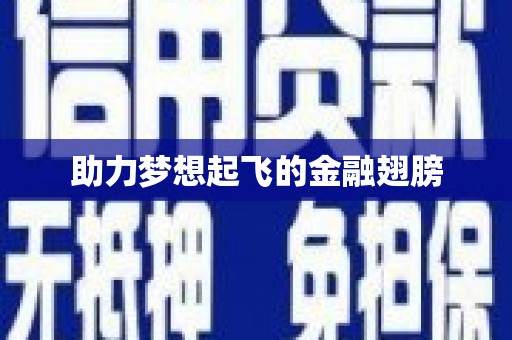 岳塘助力梦想起飞的金融翅膀