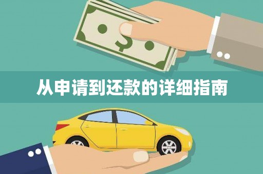 岳塘从申请到还款的详细指南